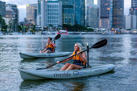 Brisbane Kayak Tour - Accommodation Yamba 3