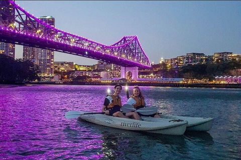 Brisbane Kayak Tour - Accommodation Yamba 4