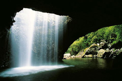 Natural Bridge & Springbrook Waterfalls Tour - Accommodation Yamba 0