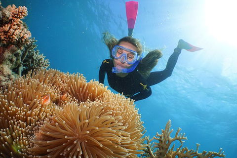 Quicksilver Outer Great Barrier Reef Snorkel Cruise From Port Douglas - Accommodation Yamba 2