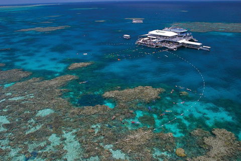 Quicksilver Outer Great Barrier Reef Snorkel Cruise From Port Douglas - Accommodation Yamba 3