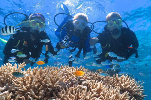 Quicksilver Outer Great Barrier Reef Snorkel Cruise From Port Douglas - Accommodation Yamba 4