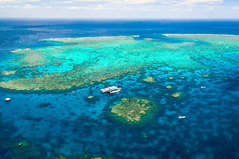 Quicksilver Outer Great Barrier Reef Snorkel Cruise From Port Douglas - Accommodation Yamba 5