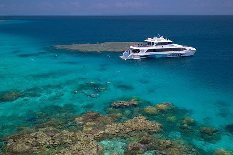 Silversonic Outer Great Barrier Reef Dive And Snorkel Cruise From Port Douglas - Accommodation Yamba 2