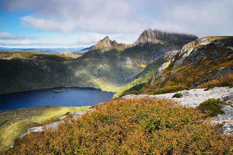 Cradle Mountain Private Charter Service - Accommodation Yamba 3