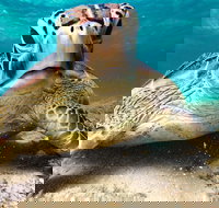 Sail Snorkel SUP  Kayak Charter Whitsundays - Accommodation Yamba