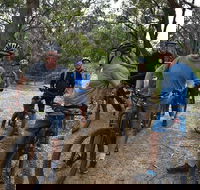 Fully guided E-Mountain Bike Tour on the beautiful Mornington Peninsula. - Accommodation Yamba