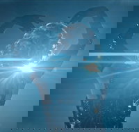 Great Opera Hits at the Sydney Opera House - Accommodation Yamba