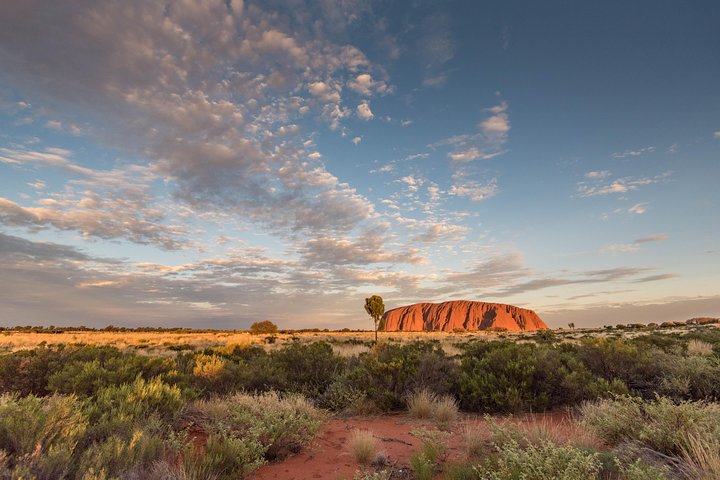 Alice Springs NT Accommodation Yamba