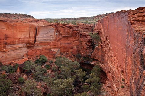 Uluru, Kata Tjuta And Kings Canyon Camping Safari From Ayers Rock - Accommodation Yamba 1