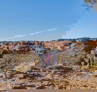 The Amazing Kings Canyon 4-Hours Walking Tour and Hike - Accommodation Yamba