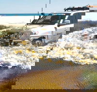 Full-Day Moreton Island 4x4 Sightseeing Tour - Accommodation Yamba