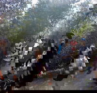 Active Day Tour One-Way from Launceston to Hobart via Wineglass Bay - Accommodation Yamba