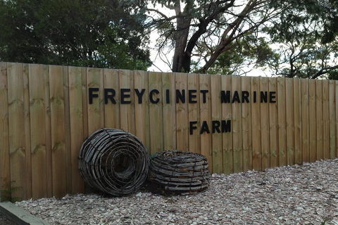 Active Day Tour One-Way From Launceston To Hobart Via Wineglass Bay - Accommodation Yamba 3