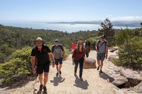 3-Day Tasmania Combo: Launceston To Hobart Active Tour Including Cradle Mountain, Freycinet National Park And Port Arthur - Accommodation Yamba 5