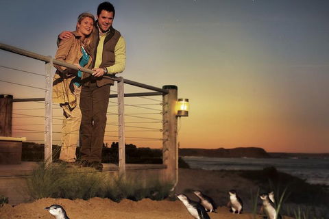 The Ultimate Melbourne Attractions Pass - Accommodation Yamba 3