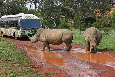 The Ultimate Melbourne Attractions Pass - Accommodation Yamba 4