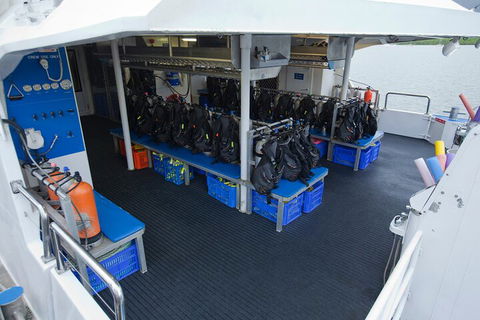 Silverswift Outer Great Barrier Reef Dive And Snorkel Cruise From Cairns - Accommodation Yamba 0