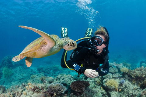 Silverswift Outer Great Barrier Reef Dive And Snorkel Cruise From Cairns - Accommodation Yamba 2