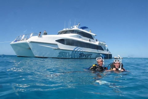 Silverswift Outer Great Barrier Reef Dive And Snorkel Cruise From Cairns - Accommodation Yamba 4
