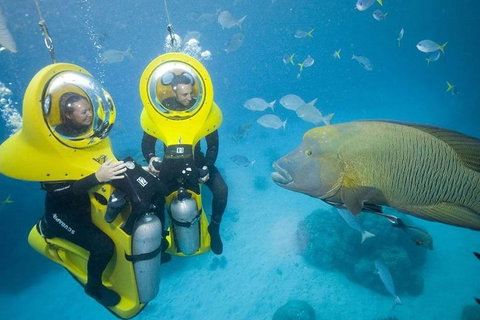 Great Barrier Reef Adventure From Cairns - Accommodation Yamba 2