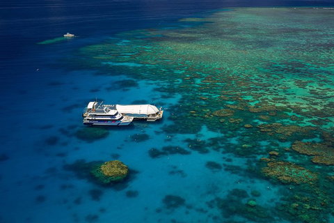 Great Barrier Reef Adventure From Cairns - Accommodation Yamba 4