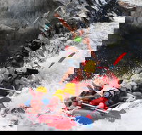 Barron Gorge National Park Half-Day White Water Rafting from Cairns or Port Douglas - Accommodation Yamba