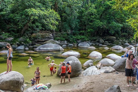 Cape Tribulation, Mossman Gorge, And Daintree Rainforest Day Trip From Cairns Or Port Douglas - Accommodation Yamba 1