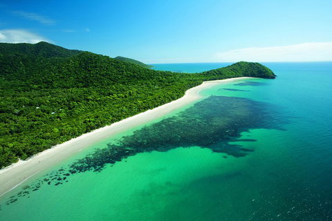 Cape Tribulation, Mossman Gorge, And Daintree Rainforest Day Trip From Cairns Or Port Douglas - Accommodation Yamba 2