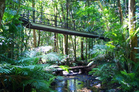 Cape Tribulation, Mossman Gorge, And Daintree Rainforest Day Trip From Cairns Or Port Douglas - Accommodation Yamba 3