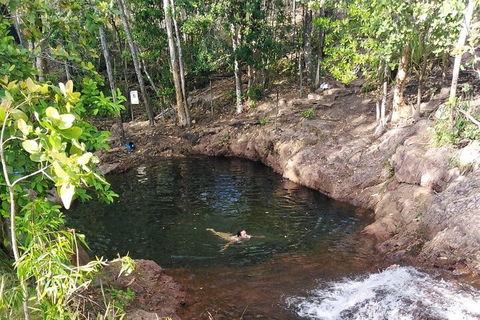 One Day Litchfield Park Adventures - Accommodation Yamba 2