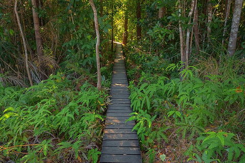 One Day Litchfield Park Adventures - Accommodation Yamba 4