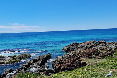 Private Custom Byron Bay Day Out - Accommodation Yamba 4