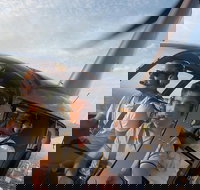 Melbourne and Port Phillip Bay Helicopter Tour - Accommodation Yamba