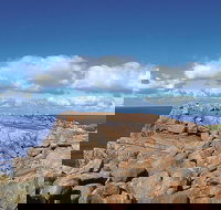 4 Day Tour Albany Margaret River Valley of the Giants TreeTop Walk from Perth - Accommodation Yamba