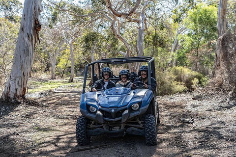 Small-Group Buggy Tour At Little Sahara With Guide - Accommodation Yamba 0