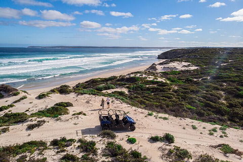 Small-Group Buggy Tour At Little Sahara With Guide - Accommodation Yamba 1
