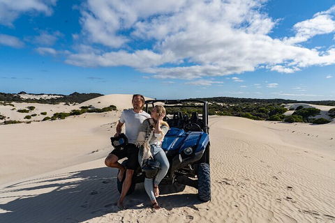 Small-Group Buggy Tour At Little Sahara With Guide - Accommodation Yamba 2