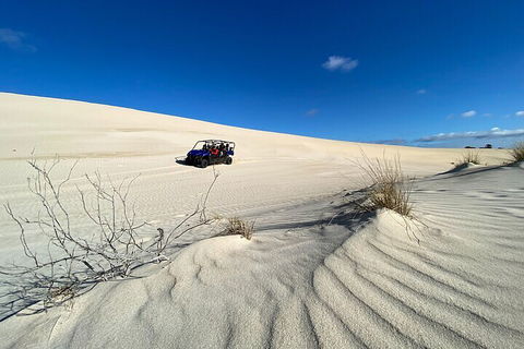 Small-Group Buggy Tour At Little Sahara With Guide - Accommodation Yamba 3
