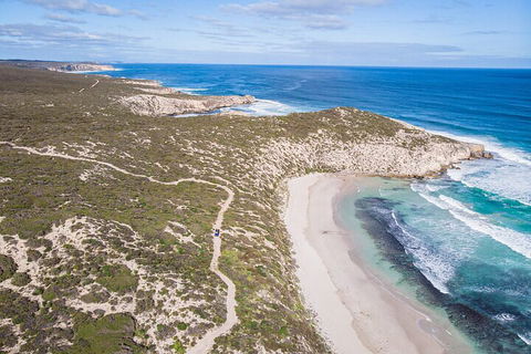 Small-Group Buggy Tour At Little Sahara With Guide - Accommodation Yamba 4