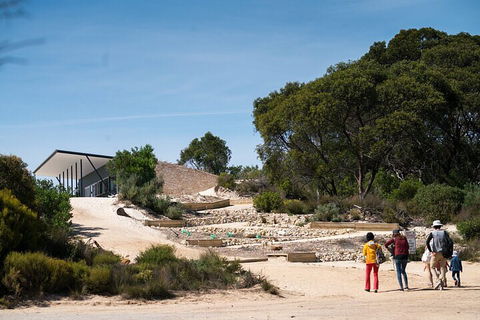2-Hour Koala Walking Tour In Kangaroo Island - Accommodation Yamba 3