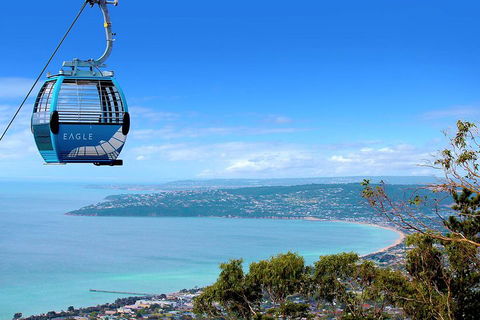 Peninsula Hot Springs Tour With Restaurant Lunch & Gondola Ride - Accommodation Yamba 1