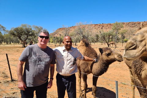 West MacDonnell Ranges Half-Day Small-Group Tour With Camel Ride - Accommodation Yamba 1