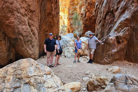 West MacDonnell Ranges Half-Day Small-Group Tour With Camel Ride - Accommodation Yamba 4