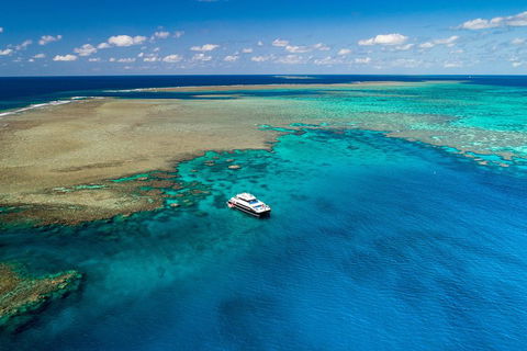 Calypso Outer Great Barrier Reef Cruise From Port Douglas - Accommodation Yamba 1