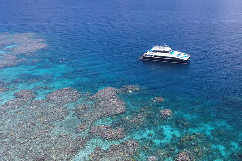 Calypso Outer Great Barrier Reef Cruise From Port Douglas - Accommodation Yamba 4