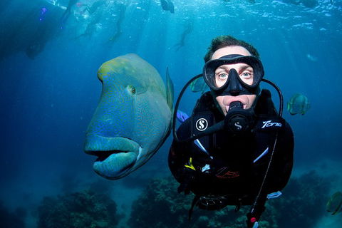 Full Day Reef Cruise Including 10 Minute Heli Scenic Flight: Get High Package - Accommodation Yamba 1