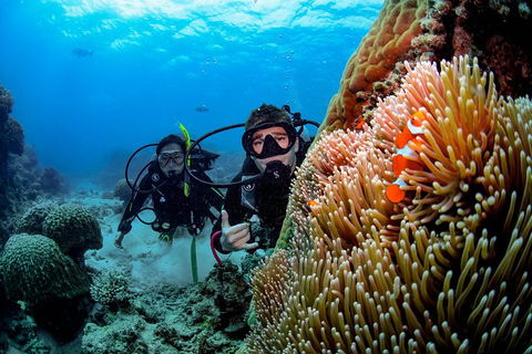 Full Day Reef Cruise Including 10 Minute Heli Scenic Flight: Get High Package - Accommodation Yamba 5