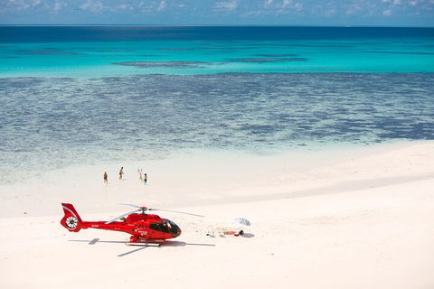 Private Helicopter Tour: Reef Island Snorkeling And Gourmet Picnic Lunch - Accommodation Yamba 2