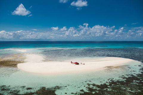 Private Helicopter Tour: Reef Island Snorkeling And Gourmet Picnic Lunch - Accommodation Yamba 4